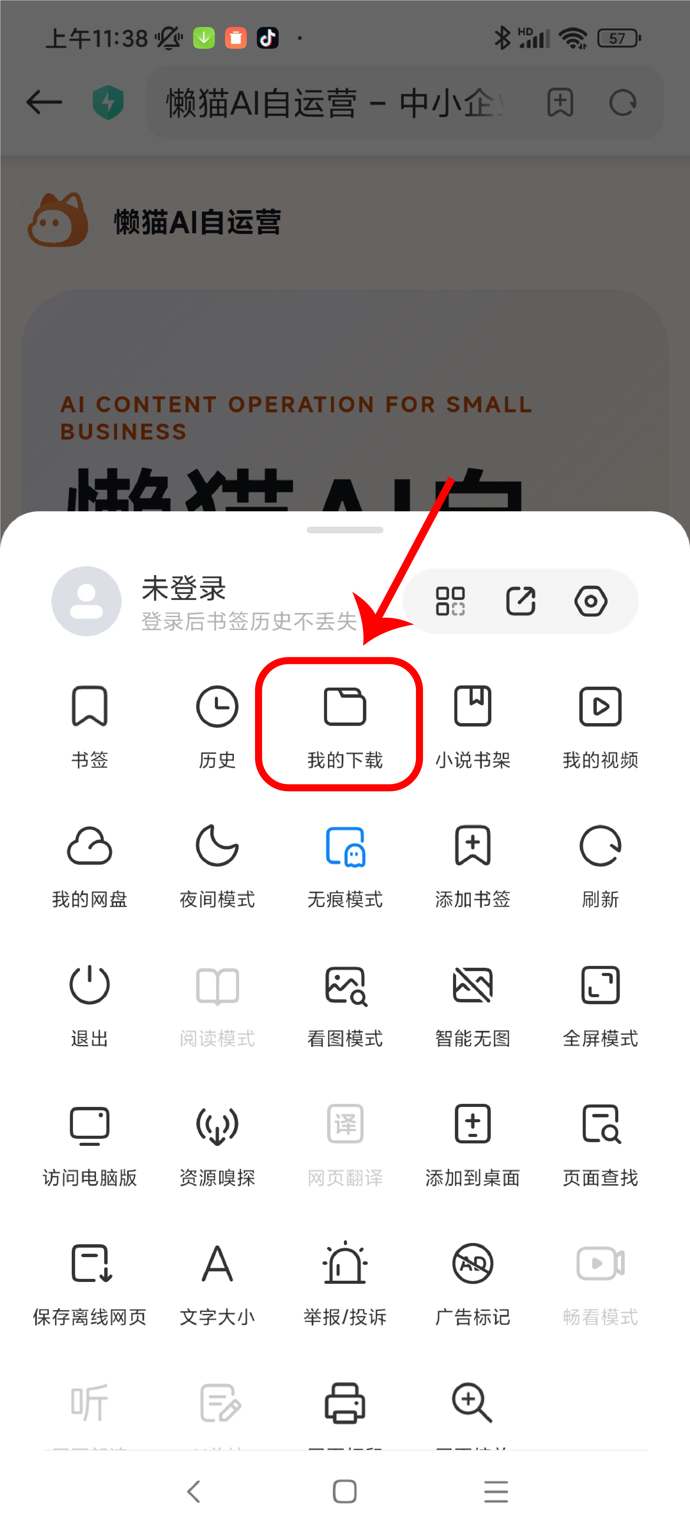 进入浏览器下载管理
